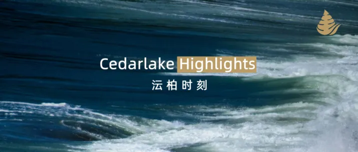 Cedarlake Highlights | 沄柏集团主席鲍毅受邀参加阿布扎比投资论坛