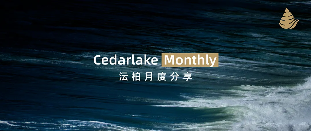 Cedarlake Monthly | 浅谈AI投资：关注新一代基础设施构筑 