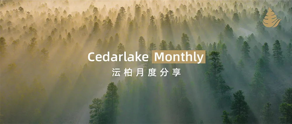 Cedarlake Monthly | 探索智驾新格局：从绿色科技到智能生态构建 